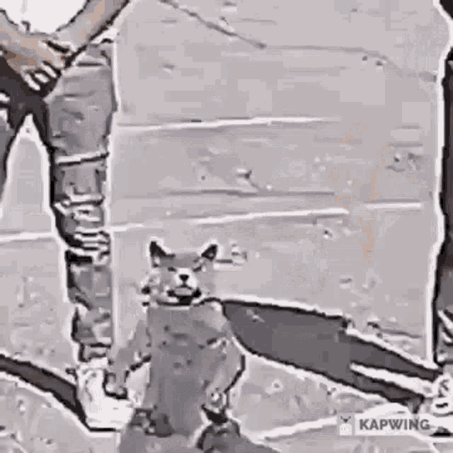 a black and white drawing of a cat standing next to a person holding their hands .