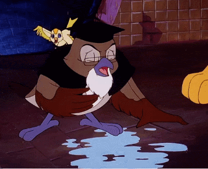 a cartoon owl with glasses and a beard is holding a bird