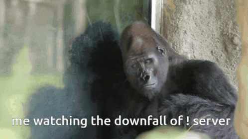 Gorilla Gorillas GIF - Gorilla Gorillas Dayz GIFs