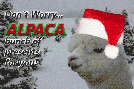 Alpaca Christmas Llama GIF - Alpaca Christmas Llama Xmas Jokes GIFs