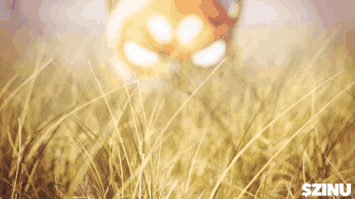 a blurred image of a field of tall grass with the word szinu on the bottom right