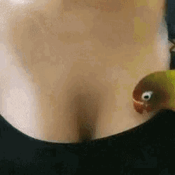 a close up of a woman 's breast with a bird on it .