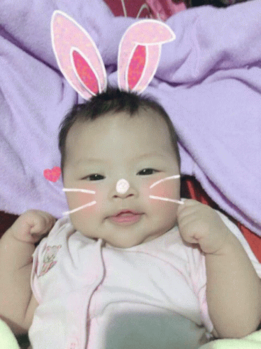 Baby Cute GIF - Baby Cute Bunny GIFs