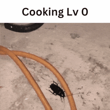 a picture of a cockroach next to a cooking lv 0 sign