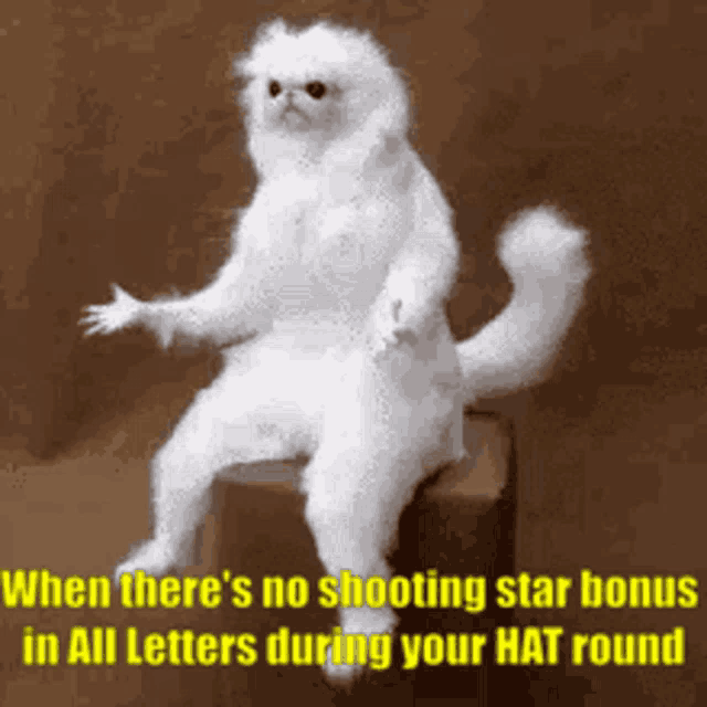 a white cat is sitting on a box with the caption when there 's no shooting star bonus in all letters