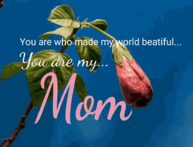 Happy Mothers Day Happy Mothers Day Weekend GIF - Happy Mothers Day Happy Mothers Day Weekend Mothers Day GIFs