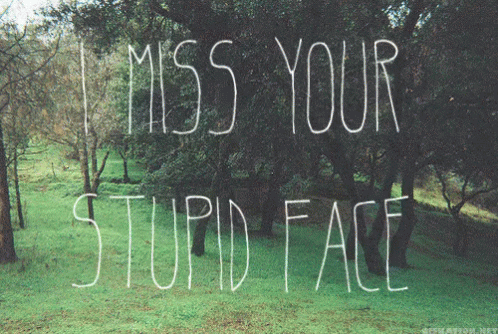 I Miss Your Face GIF - I Miss Your Stupid Face GIFs