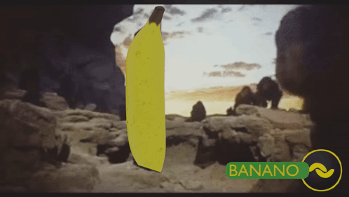 Banano Stom GIF - Banano Stom Apes GIFs