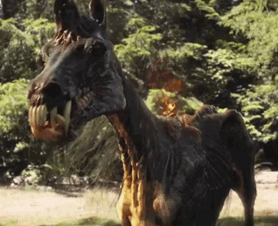 a horse with a large mouth and teeth is standing in the grass