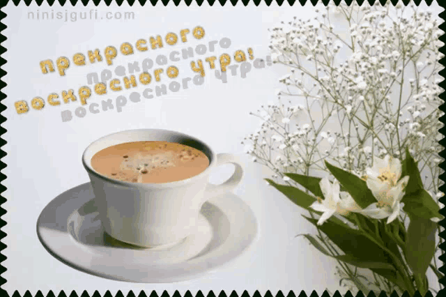 a cup of coffee sits on a saucer next to flowers and the website ninisjgulfi.com
