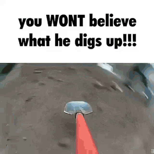 You Wont Believe This Digs GIF - You Wont Believe This Digs Digging GIFs