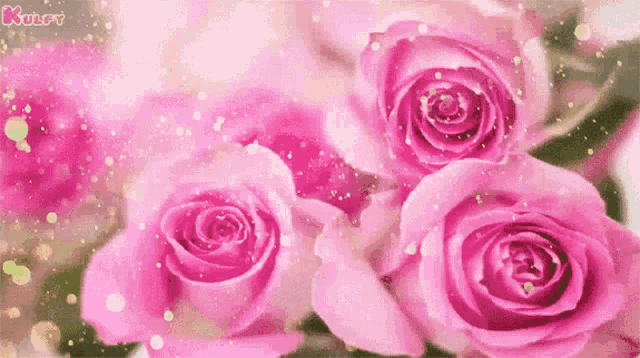 a bunch of pink roses are surrounded by glitter and sparkles