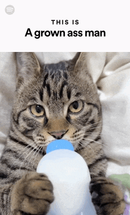 a cat is drinking milk from a bottle and the caption says this is a grown ass man