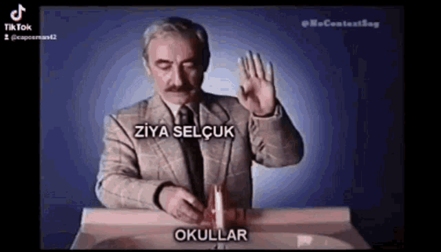 Ziya Selcuk Memes GIF