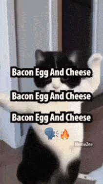 a black and white cat with the words bacon egg and cheese