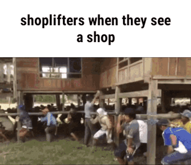 Shoplifters Shoplifting GIF - Shoplifters Shoplifting Shop GIFs