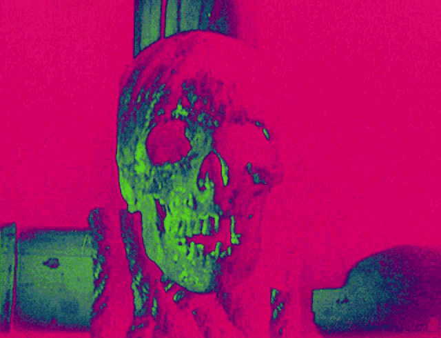 a skull with a crown on it is against a pink and green background