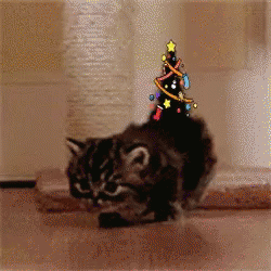 Christmas Cat Christmas Tree GIF - Christmas Cat Christmas Tree Xmas GIFs