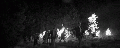 Fire Forest Fire GIF - Fire Forest Fire Evacuate GIFs