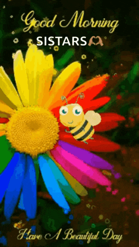 a colorful flower with a bee on it and the words " good morning sisters "
