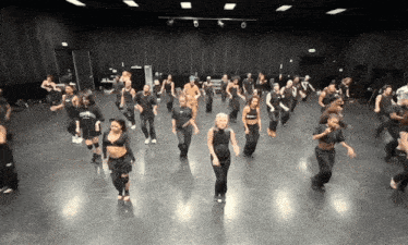 Lady Gaga Abracadabra GIF