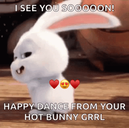 Bunny Happy Dance GIF - Bunny Happy Dance Secret Life Of Pets GIFs