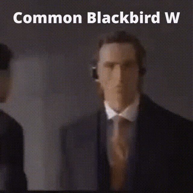 Common Blackbird GIF - Common Blackbird Ww GIFs