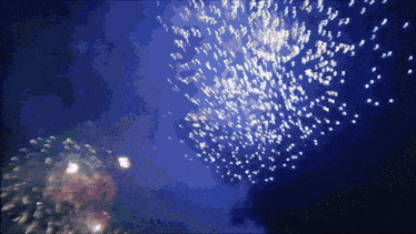 a fireworks display in the night sky with a blue background