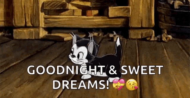 a cartoon cat is walking on a wooden floor with the words `` goodnight and sweet dreams '' .