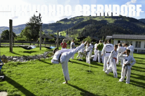Taekwondo Oberndorf GIF - Taekwondo Oberndorf Kick GIFs