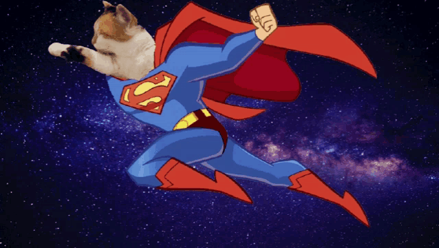 a cat is dressed as superman and is flying through the air