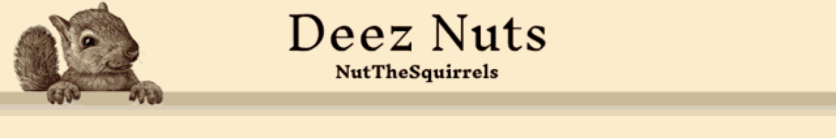 Squirrels Deez Nuts GIF - Squirrels Deez Nuts Peeking GIFs