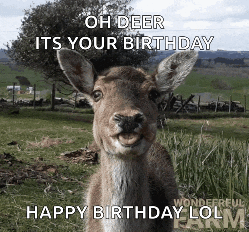 a picture of a deer that says oh deer its your birthday happy birthday lol