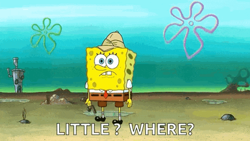 a cartoon of spongebob standing on a beach with the words little ? where ? below him .