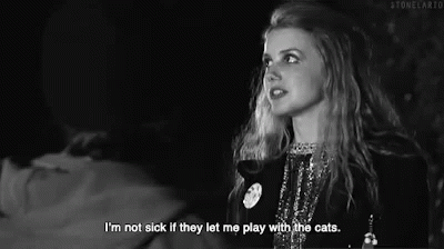 I'M Not Sick If They Let Me Play With The Cats GIF - Play Cats Not Sick GIFs