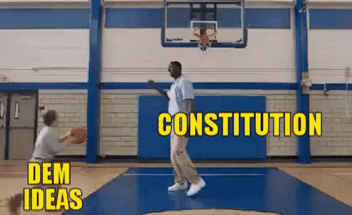 Basketball Constitution GIF