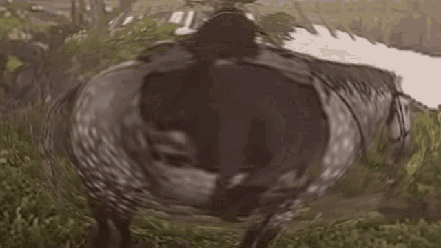 a blurry picture of a person riding a horse in a field