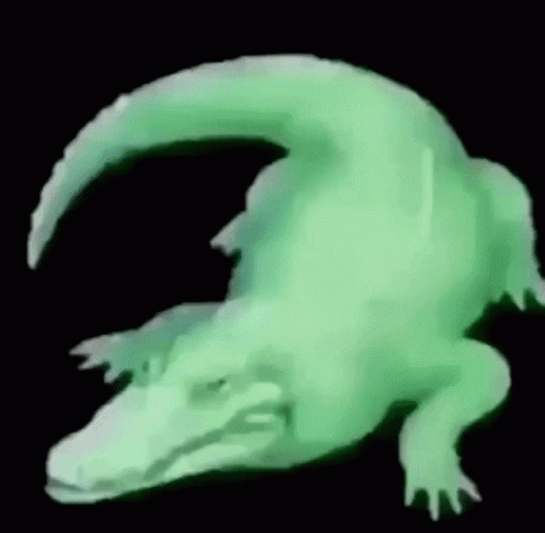 Crocodile Meme GIF - Crocodile Meme S6nako GIFs