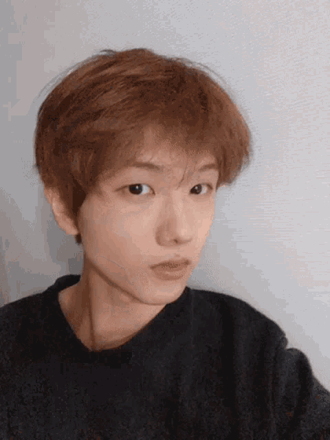 a young man with brown hair is wearing a black sweater and looking at the camera .