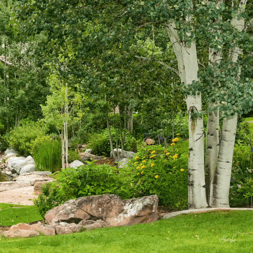 a lush green garden with trees and rocks and a sign that says ' a ' on it