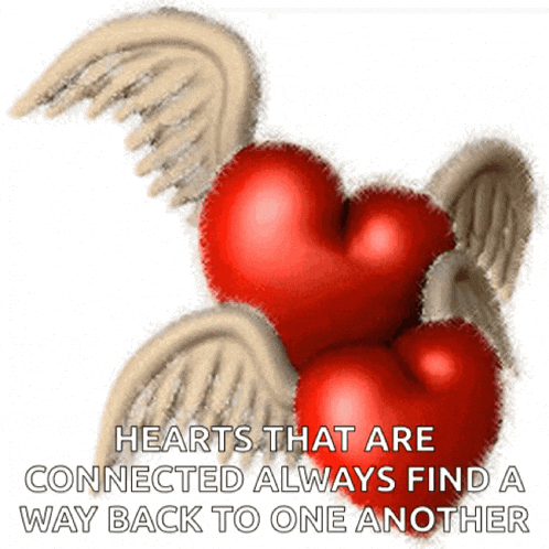 hearts that are connected always find a way back to one another with wings
