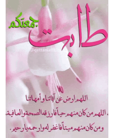 a close up of a pink flower with arabic writing on it .