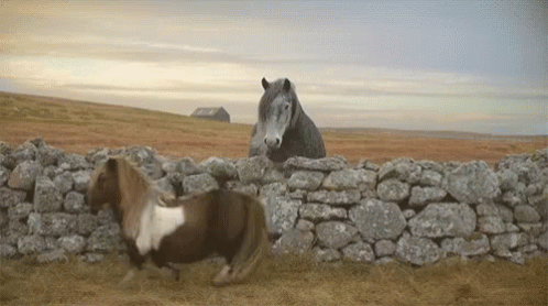 Horsing Horse GIF - Horsing Horse Moonwalk GIFs
