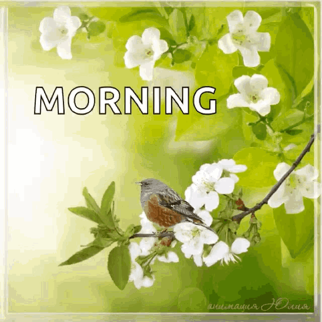 a bird is perched on a branch with flowers and the words morning