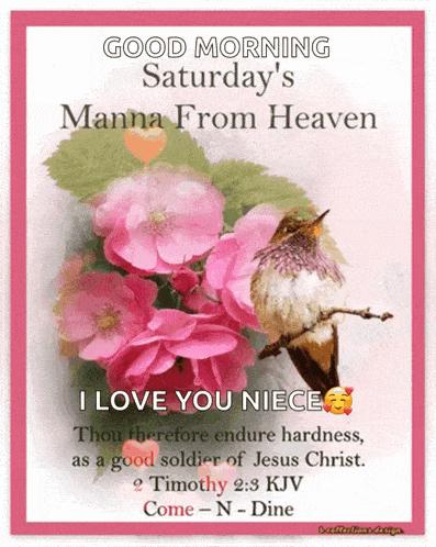 a good morning saturday 's manna from heaven card with flowers and a bird