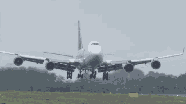 a large passenger jet is taking off from a runway