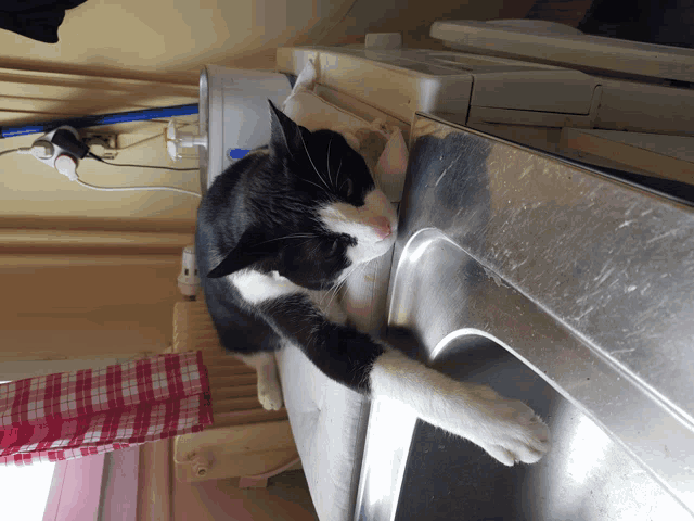 a black and white cat laying on top of a metal sink