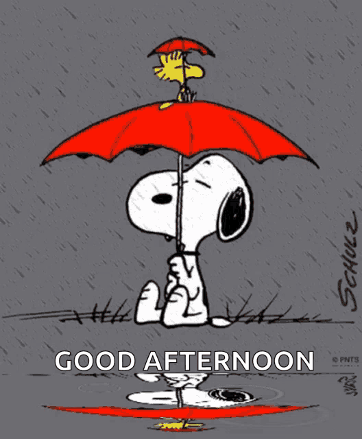 a cartoon of snoopy holding a red umbrella with the words good afternoon below him