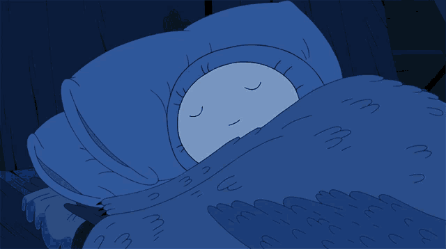 Dormido Finn GIF - Dormido Finn Hora De Aventura GIFs