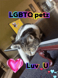 a cat with the words lgbtq petz on it
